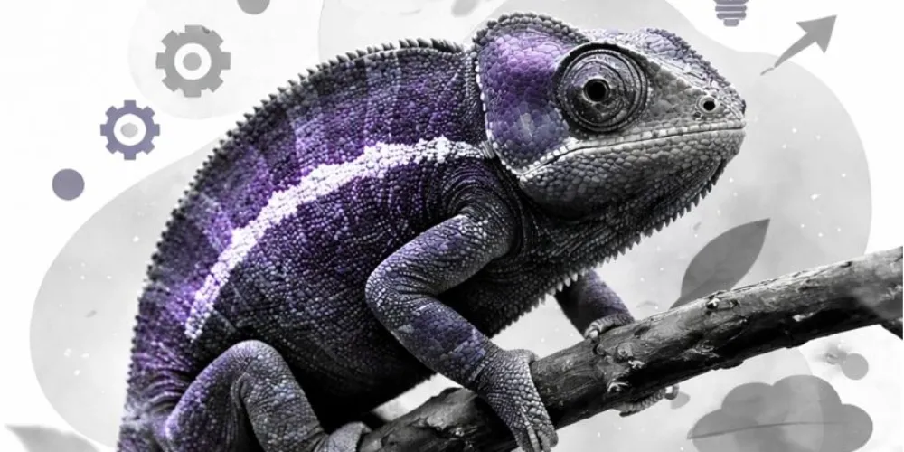 De cabinet de recrutement à partenaire RH global