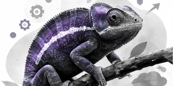 visuel De cabinet de recrutement à partenaire RH global